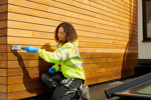 Best Siding Maintenance  in Brownsville, LA